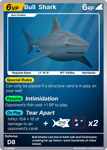 Bull Shark