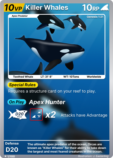 Killer Whale