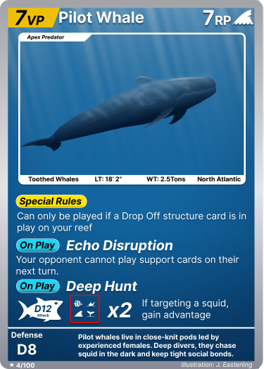 Pilot Whale