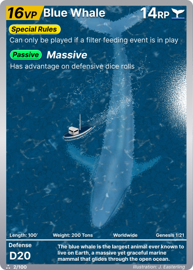 Blue Whale